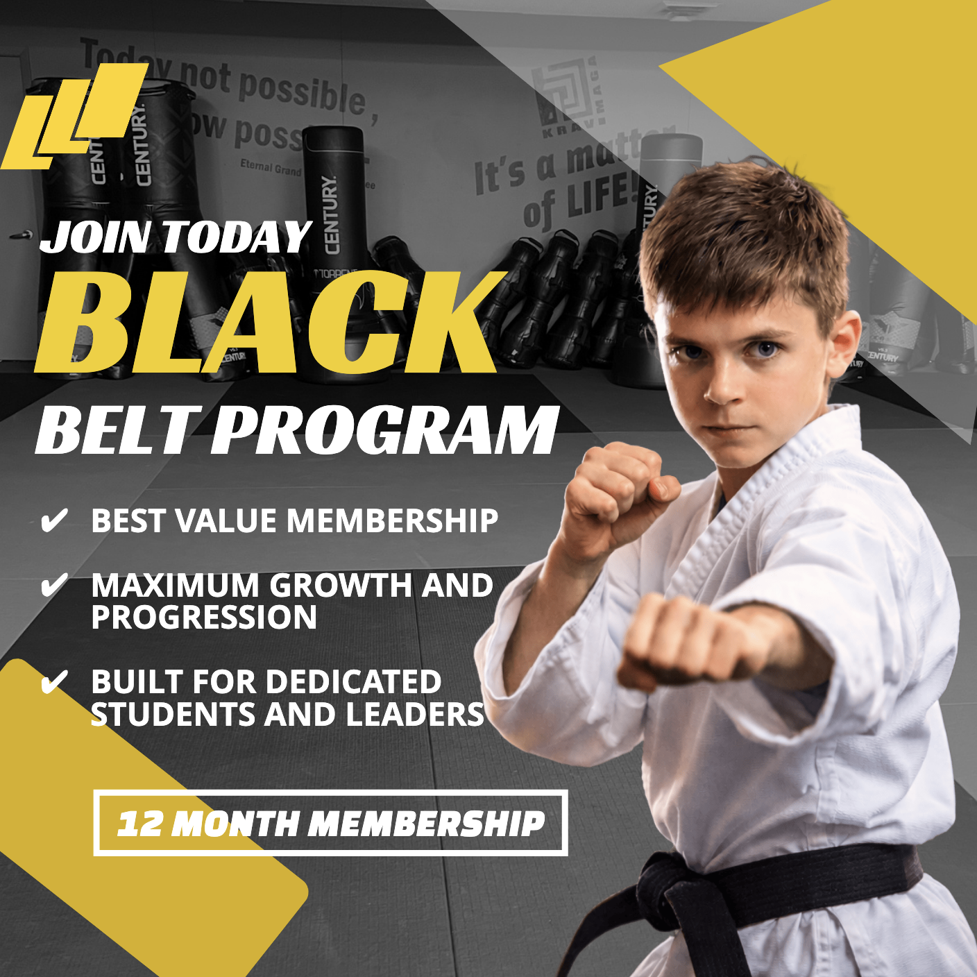 Black Belt Program