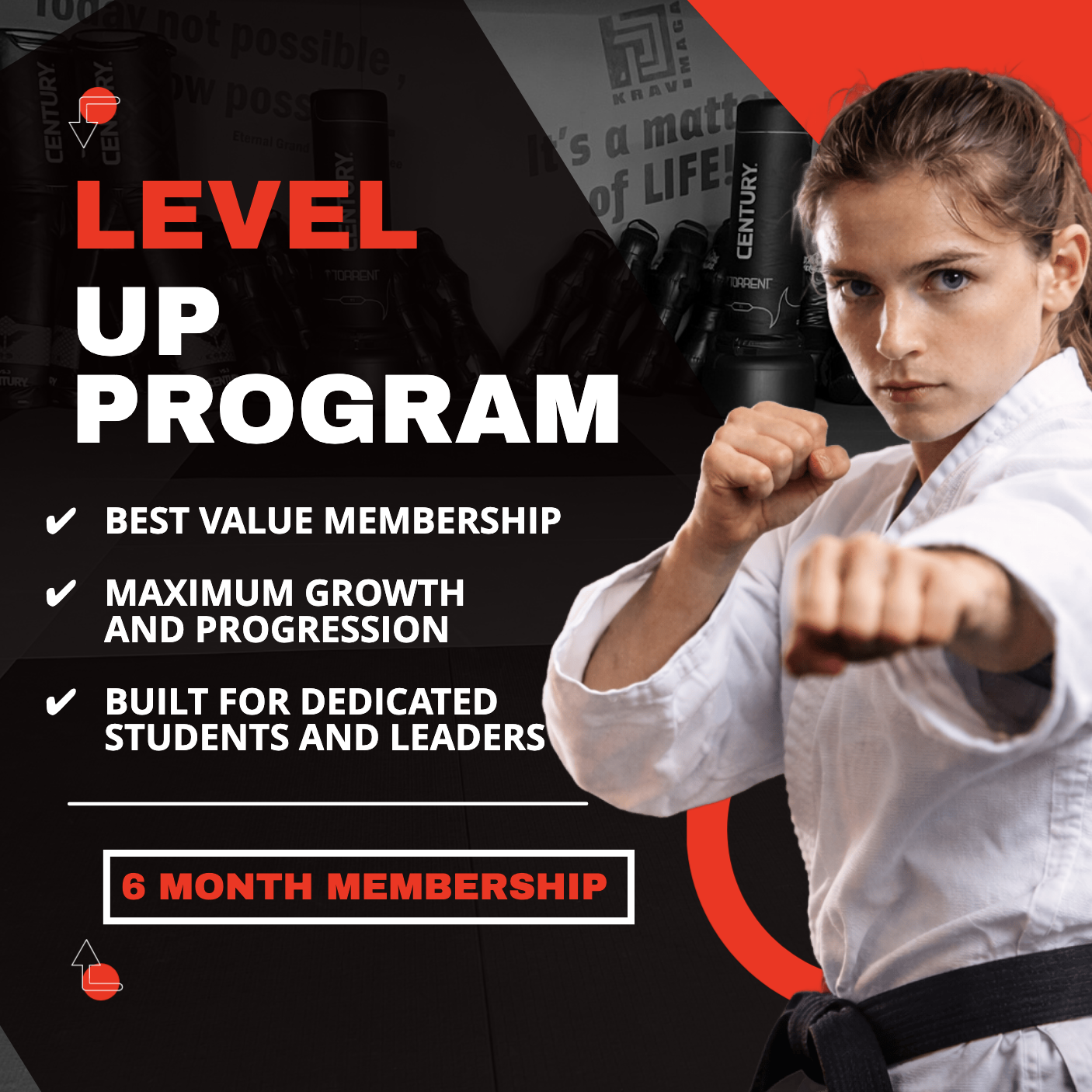 Level Up Program